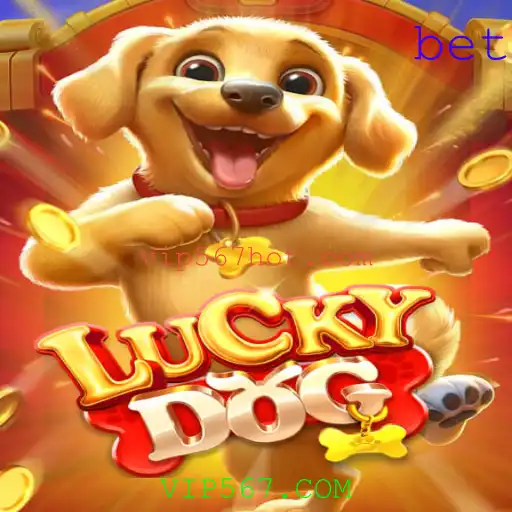 LuckyDog: Entretenimento e Estratégia em um Único Jogo